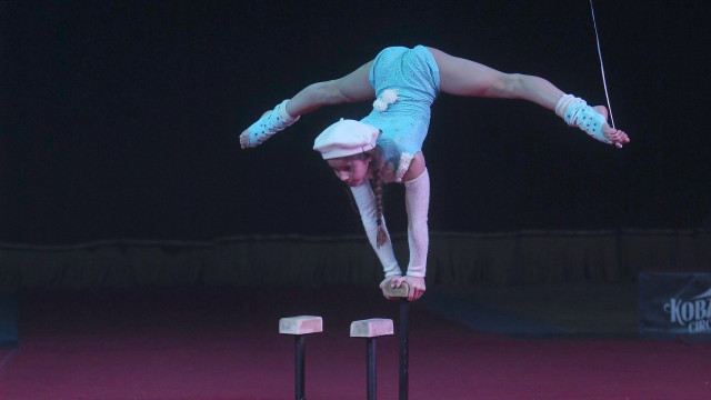 Цирк Кобзов