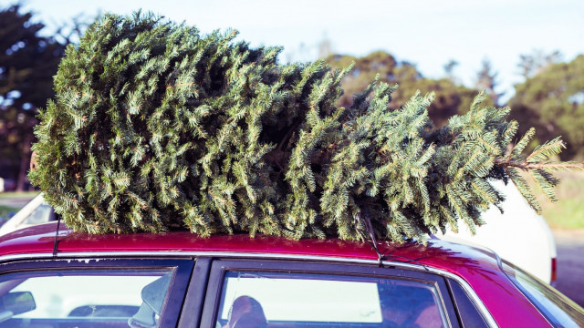 Новорічна ялинка