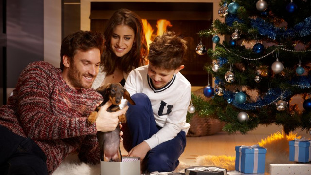 семья новый год