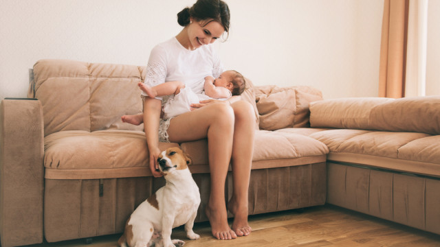 мама ребенок и собака