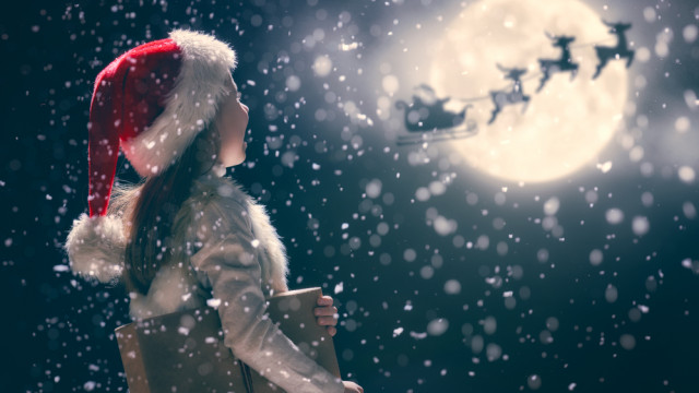 девочка новый год