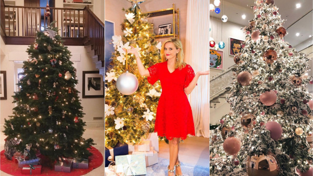 зіркові ялинки 2018