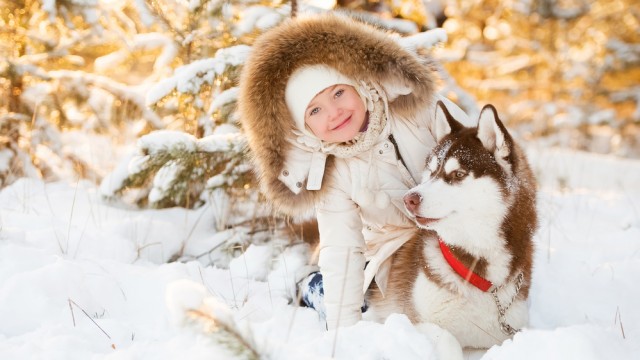Зимняя фотосессия с хаски