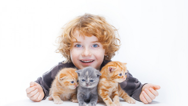 ребенок и котята