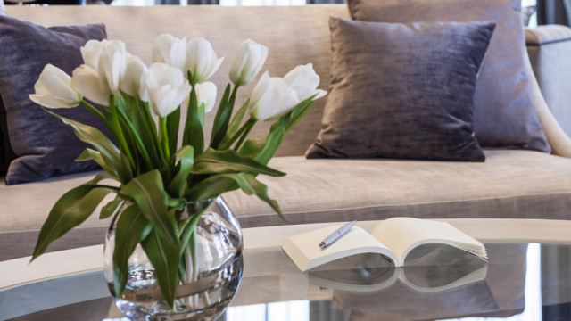 квіти в інтер'єрі