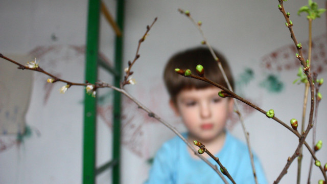 Баранова проращивание