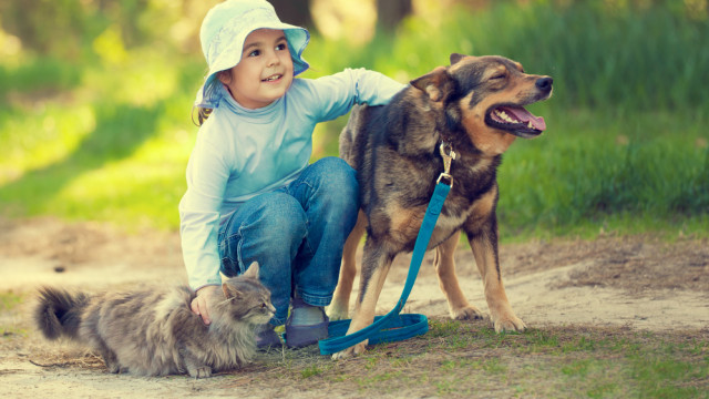 ребенок и собака и кот