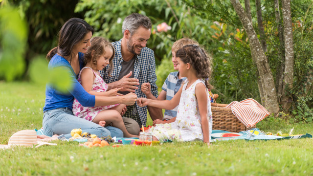 сім'я на пікніку