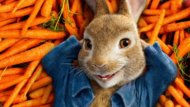 кролик петрик