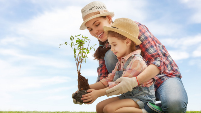 мама с дочкой сажают дерево