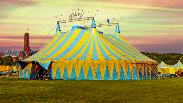 Цирк, цирк, цирк: найкрутіші вистави світу