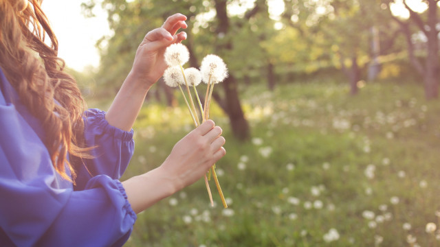 кульбаби весна