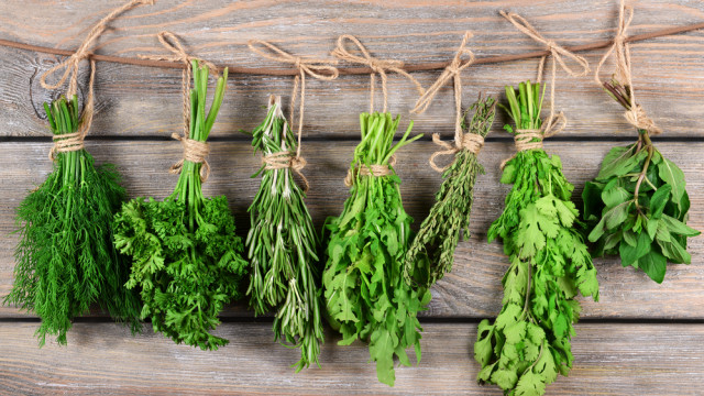 зелень весни