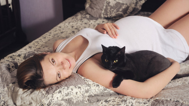 вагітна з котом