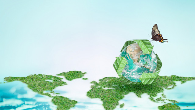 Меньше пластика: практические советы для тех, кто решил жить экокультурно