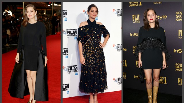 Марион Котийяр 