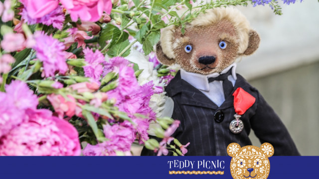 тедді-пікнік