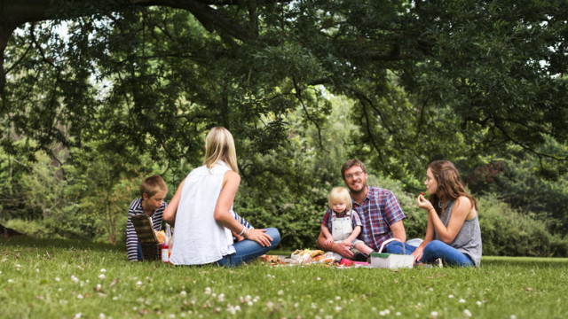 пикник семья