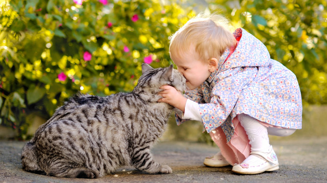 малыш и кот