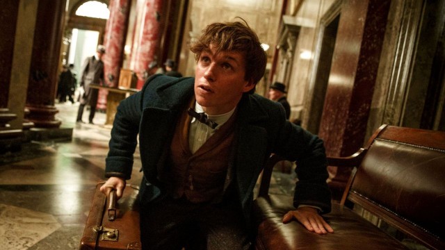6 причин сходити в кіно на «Фантастичні тварини і де вони мешкають»