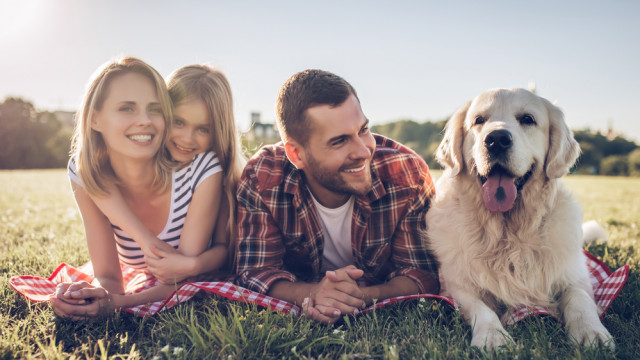 семья с собакой
