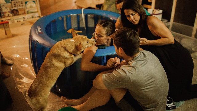 роды с собакой