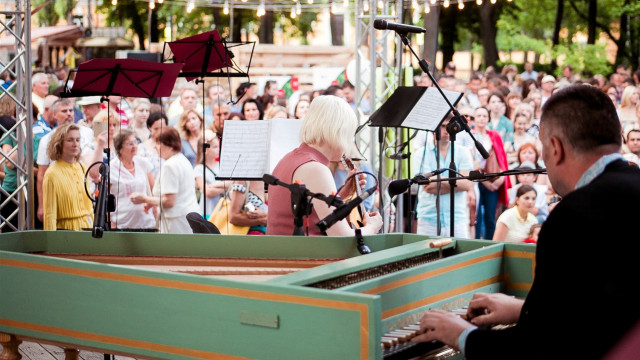 классик пикник