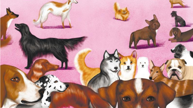 «Усміхаки» Лариса Денисенко