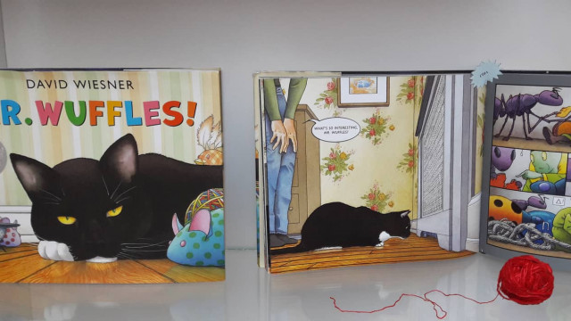 Мовчазні книги: як і чому вони можуть навчити - думка експерта