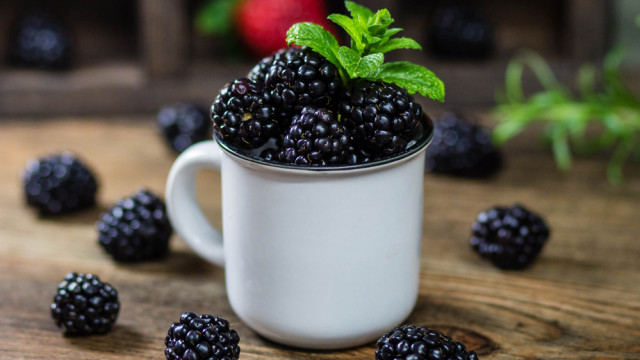 едевика шелковица