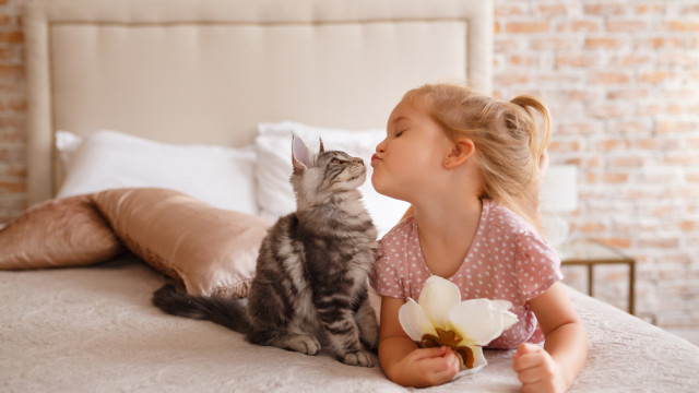 девочка и котик