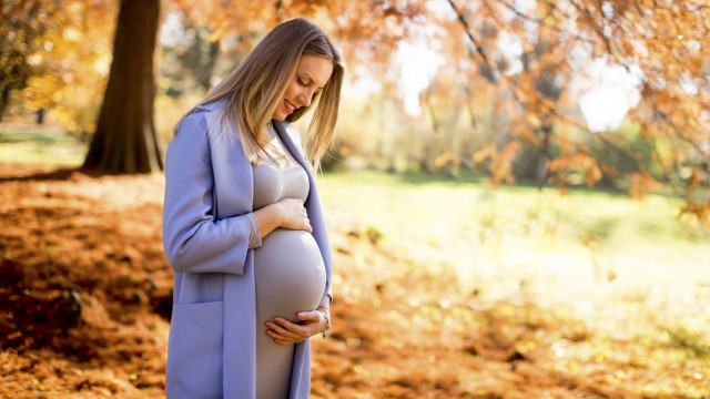 беременная осенью