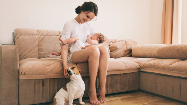 женщина с малышом и собакой