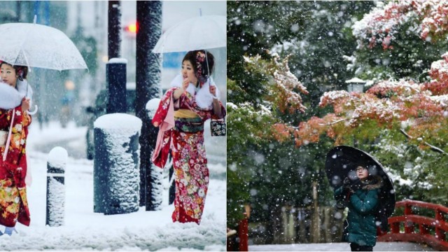 Японская зима