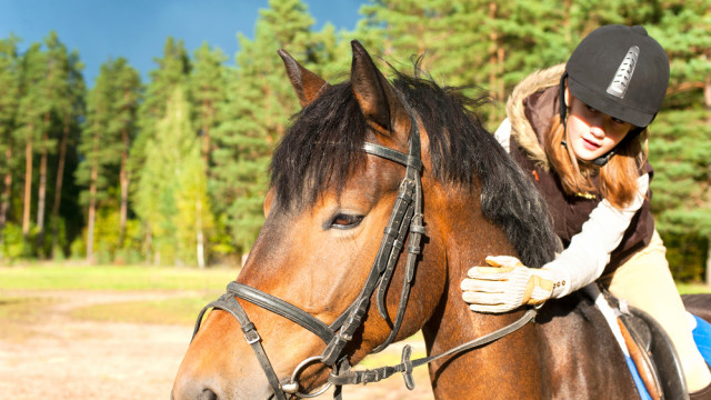 девочки на лошади