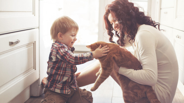 мальчик и кот