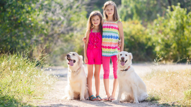 Любить по-настоящему:  в Киеве пройдет ZooBonus FEST  праздник для тех, кто заботится о животных