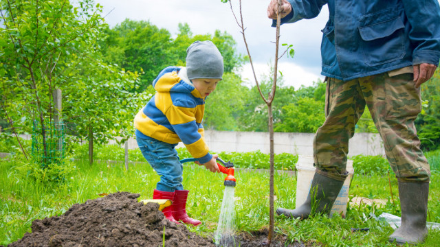 ребенок садит дерево