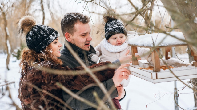 Как и чем кормить птиц зимой?