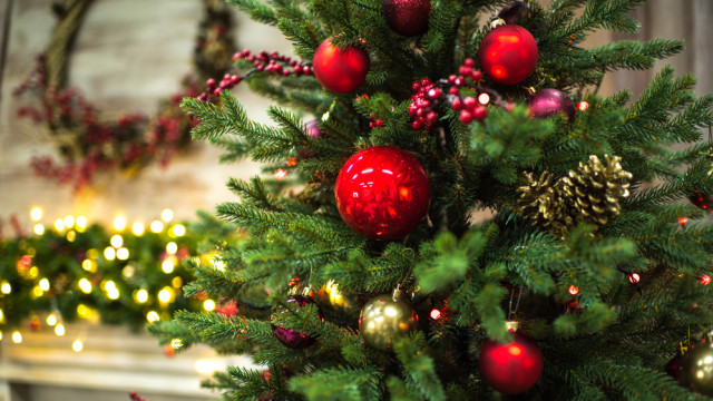 новогодняя елка