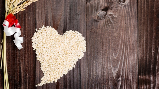 Крупа, клей, картон и немного фантазии: создаем шедевры с детьми