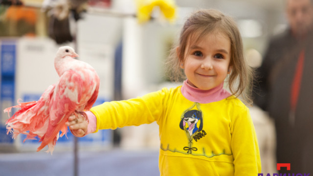 Сказочные выходные на "Дарынке": куда пойти с детьми 2-3 февраля