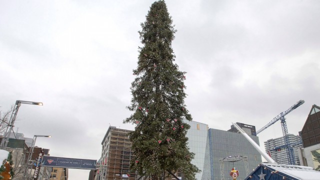 Елка в Канаде