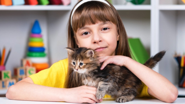 Котики и малыши: самые смешные и милые видео