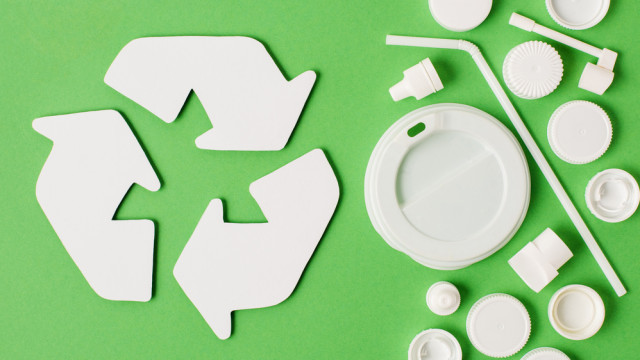 zero waste для школ