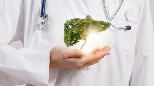 Чего хочет ваша печень: самые полезные продукты для главного фильтра организма