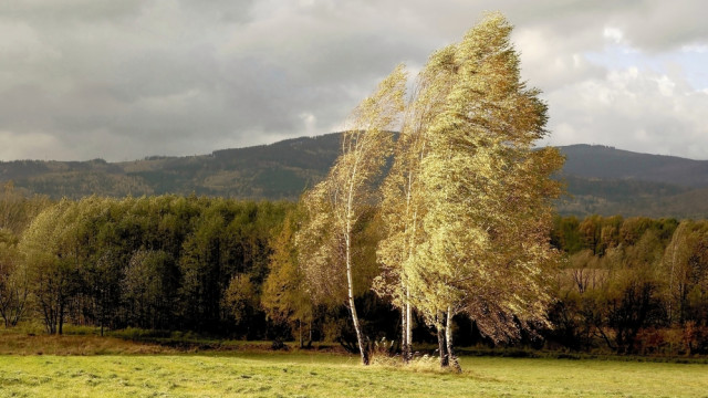 что делать когда сильный ветер