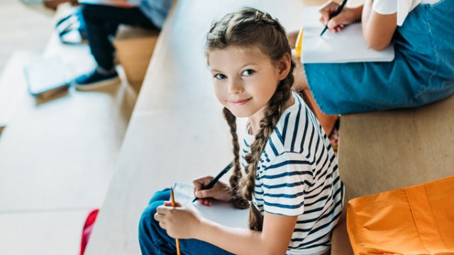 Выбирая частную школу: какие признаки указывают на "dream scool" - подсказки для родителей