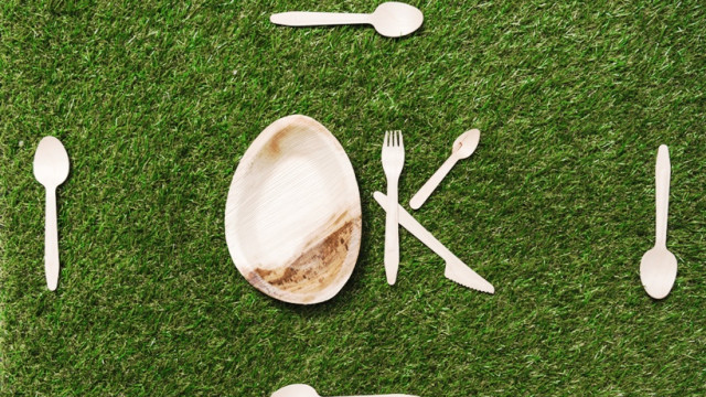 Уникальная эко-посуда из отрубей уже доступна в Украине