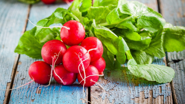 польза редиса